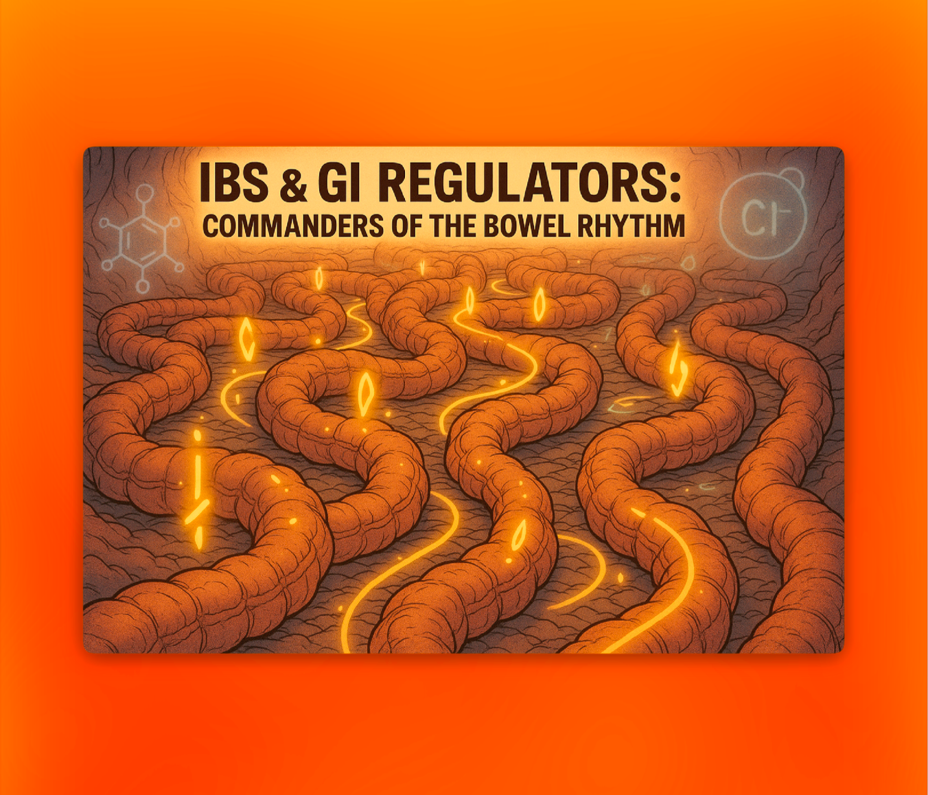 IBS and Bowel Regulators